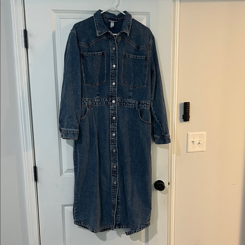 Future Collective Denim Button-Up Dress